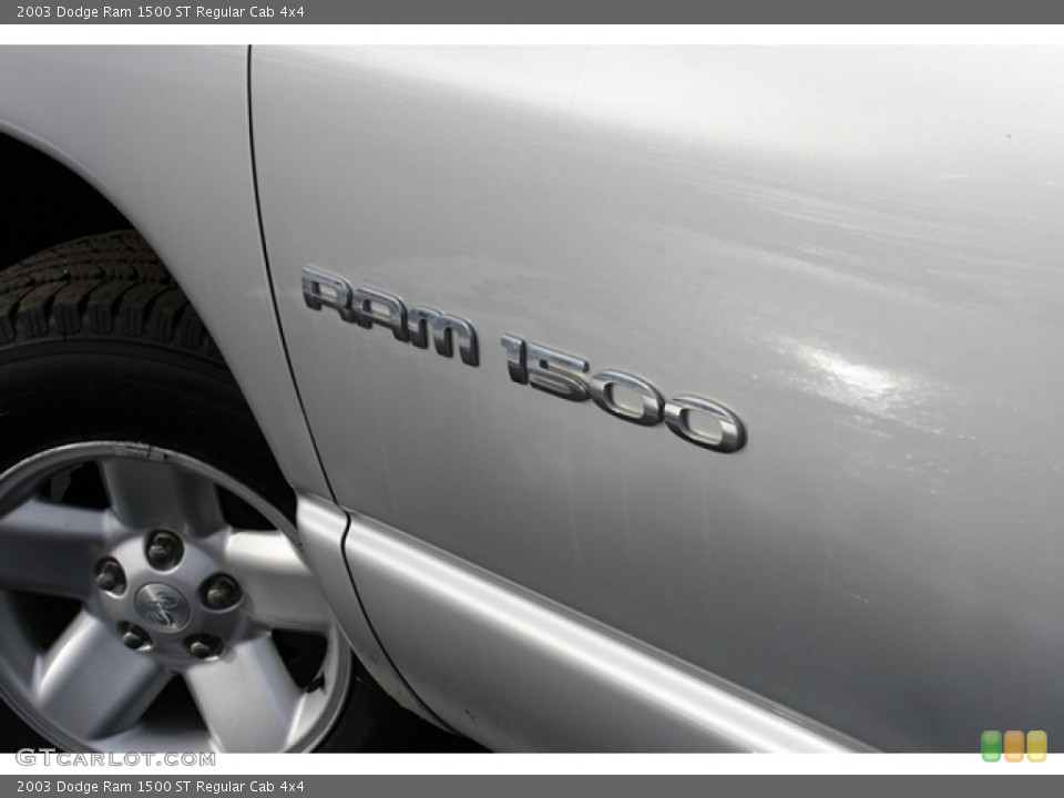 2003 Dodge Ram 1500 Custom Badge and Logo Photo #59612751