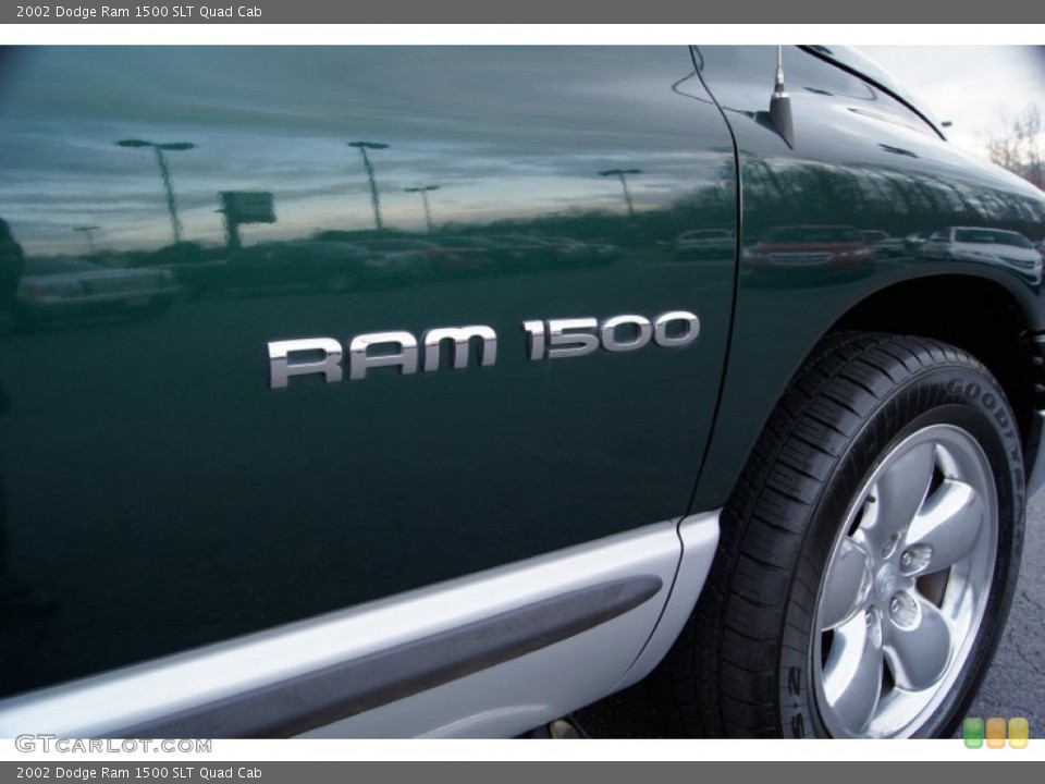 2002 Dodge Ram 1500 Custom Badge and Logo Photo #59782046