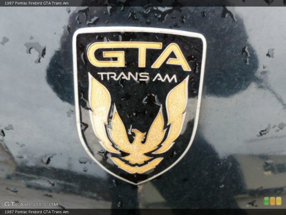 1987 Pontiac Firebird Custom Badge and Logo Photo #59853388