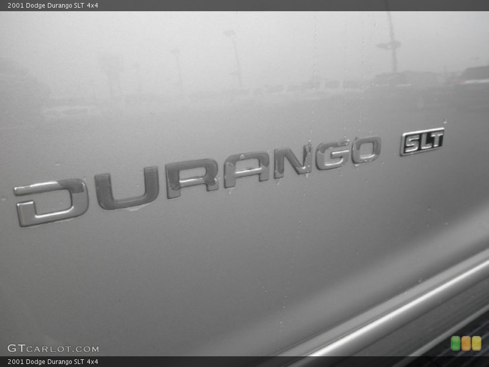 2001 Dodge Durango Custom Badge and Logo Photo #59896118