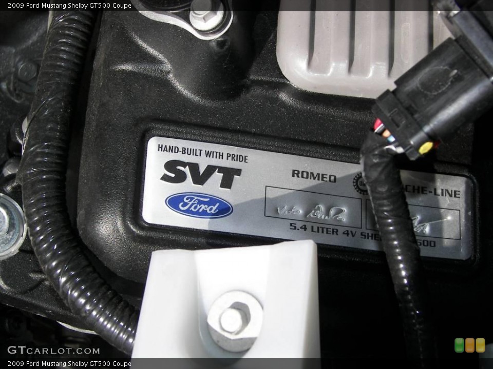 2009 Ford Mustang Custom Badge and Logo Photo #6069865