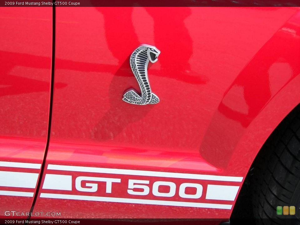 2009 Ford Mustang Custom Badge and Logo Photo #6069900
