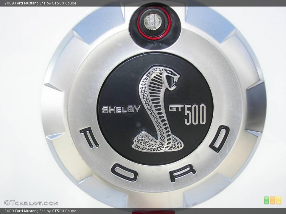 2009 Ford Mustang Custom Badge and Logo Photo #6069910