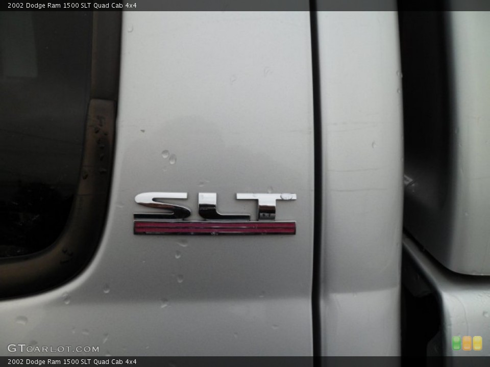 2002 Dodge Ram 1500 Custom Badge and Logo Photo #60976306