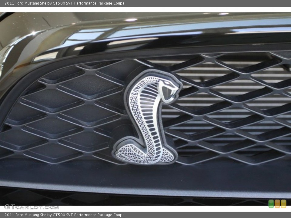 2011 Ford Mustang Custom Badge and Logo Photo #61010596