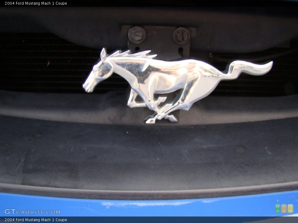 2004 Ford Mustang Custom Badge and Logo Photo #61230193