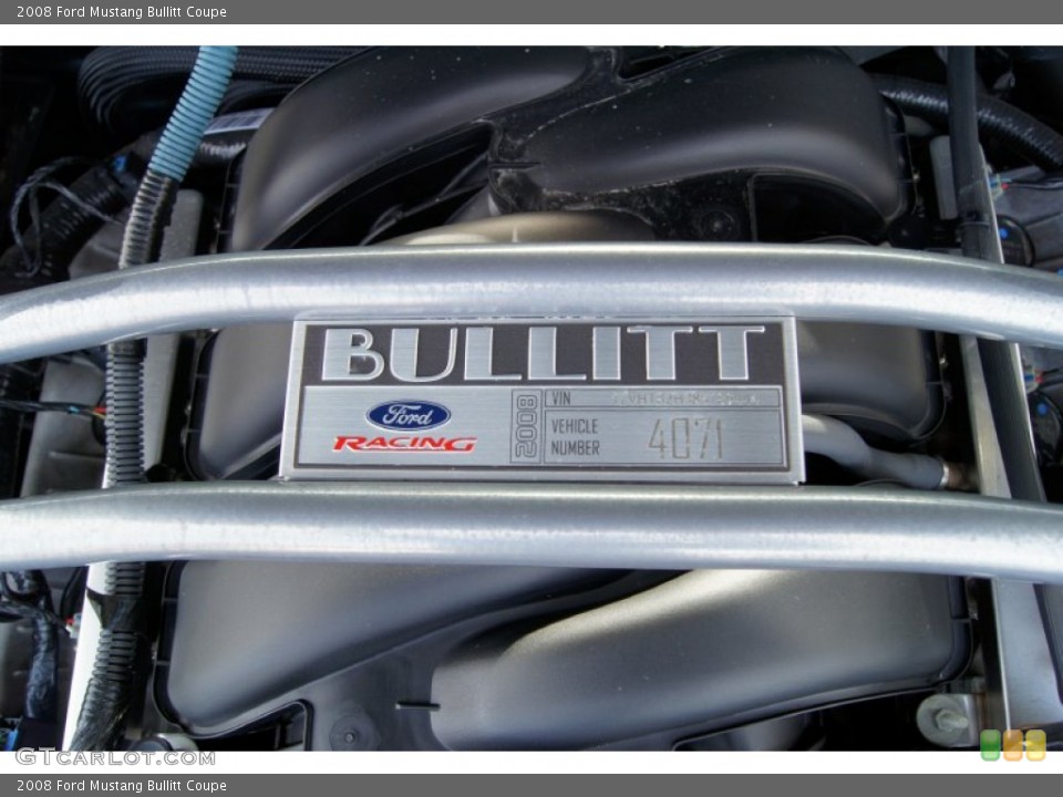 2008 Ford Mustang Custom Badge and Logo Photo #61230874