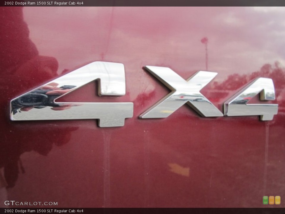 2002 Dodge Ram 1500 Custom Badge and Logo Photo #61589094