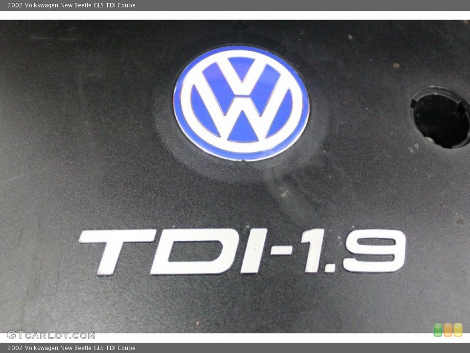 2002 Volkswagen New Beetle Custom Badge and Logo Photo #62525264