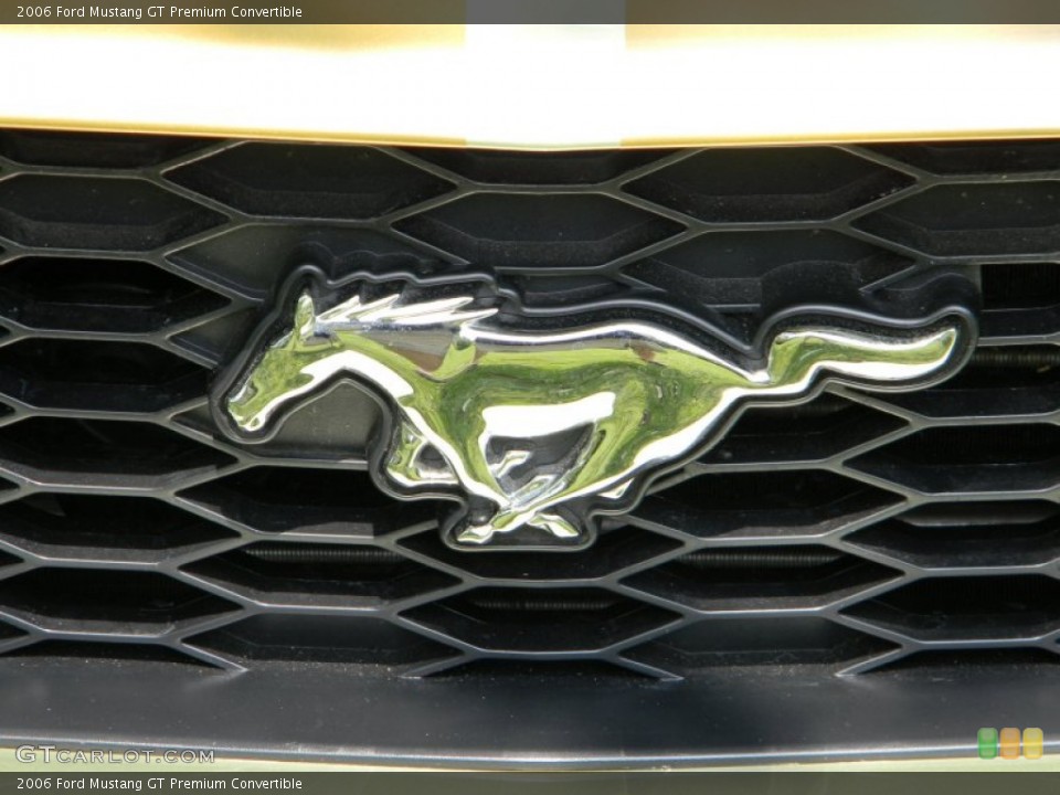 2006 Ford Mustang Custom Badge and Logo Photo #62774640