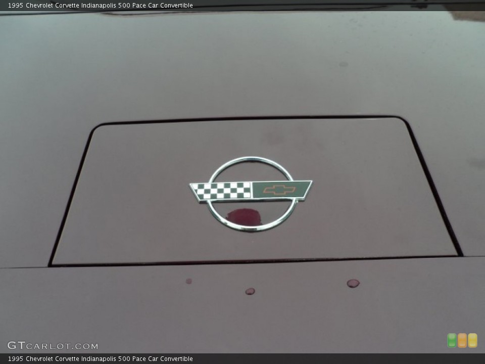 1995 Chevrolet Corvette Custom Badge and Logo Photo #63140526