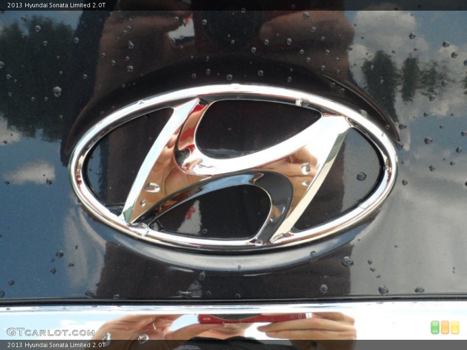 2013 Hyundai Sonata Custom Badge and Logo Photo #64780413