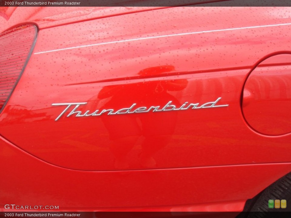 2003 Ford Thunderbird Custom Badge and Logo Photo #64974619
