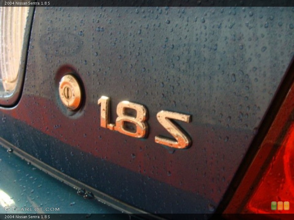 2004 Nissan Sentra Custom Badge and Logo Photo #65208550