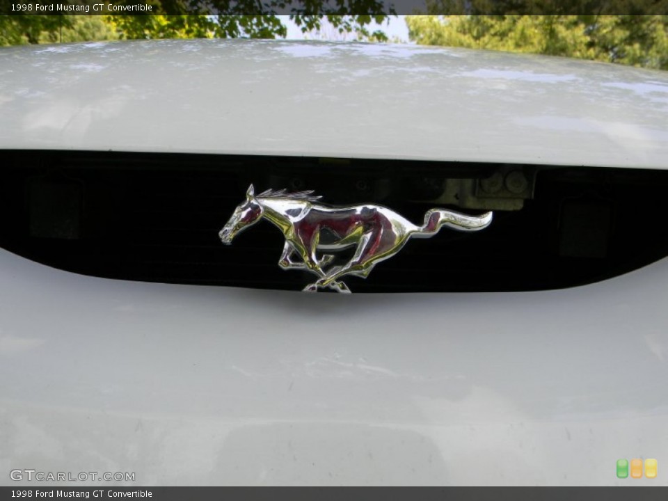 1998 Ford Mustang Custom Badge and Logo Photo #65413221