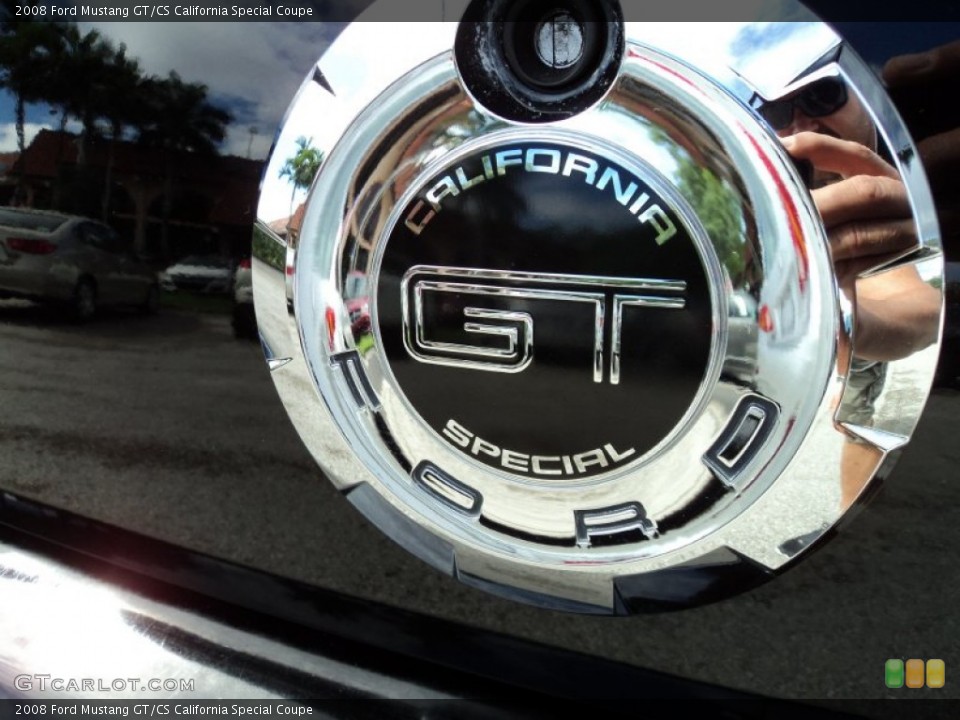 2008 Ford Mustang Custom Badge and Logo Photo #65580167