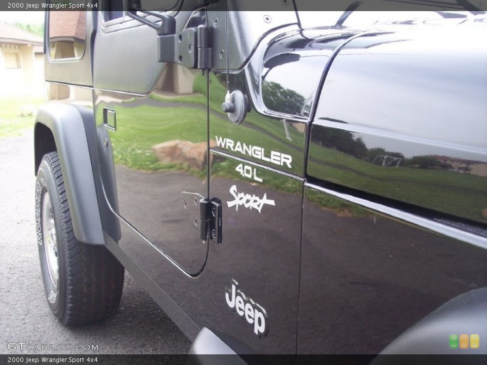 2000 Jeep Wrangler Custom Badge and Logo Photo #65948894