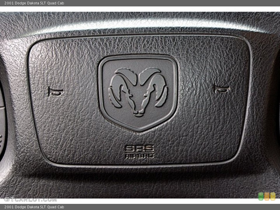 2001 Dodge Dakota Custom Badge and Logo Photo #66137336