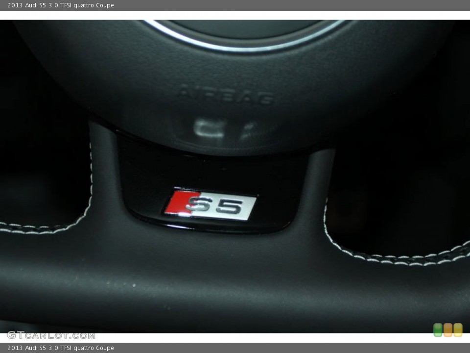 2013 Audi S5 Custom Badge and Logo Photo #66206217