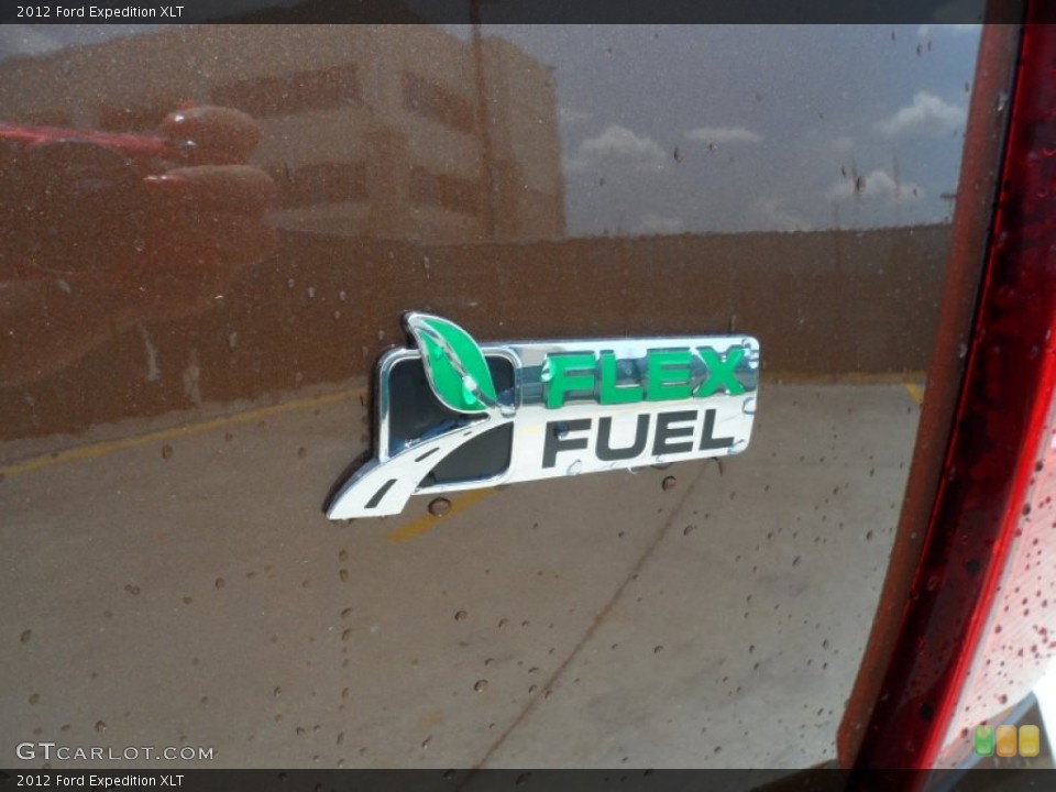 2012 Ford Expedition Custom Badge and Logo Photo #66252189