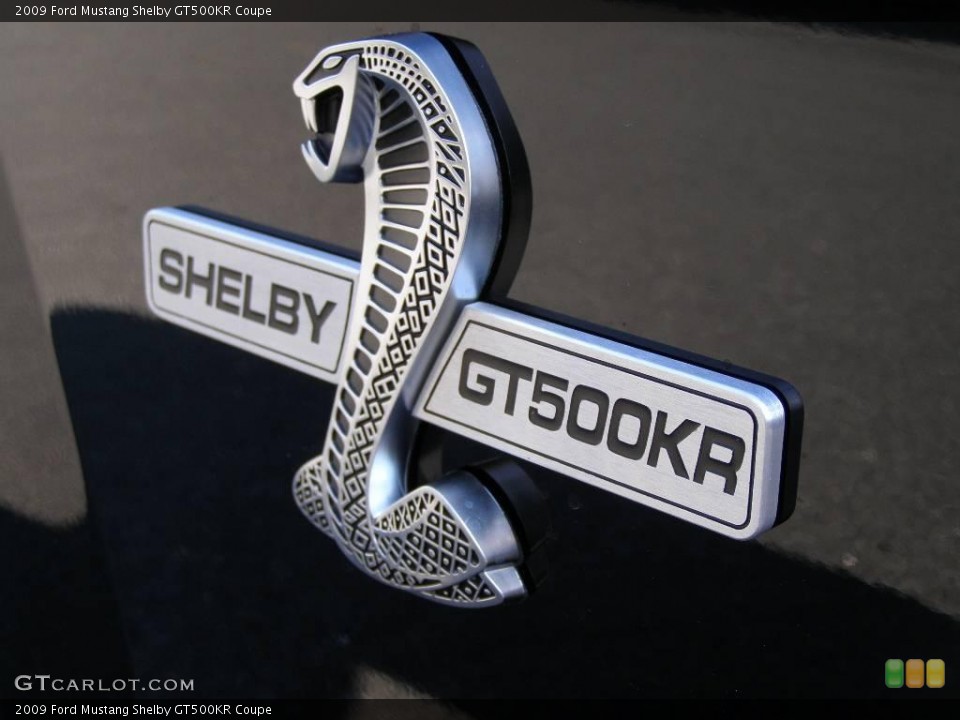 2009 Ford Mustang Custom Badge and Logo Photo #6630957