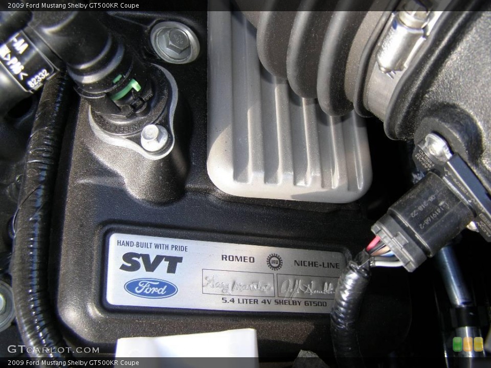 2009 Ford Mustang Custom Badge and Logo Photo #6630992