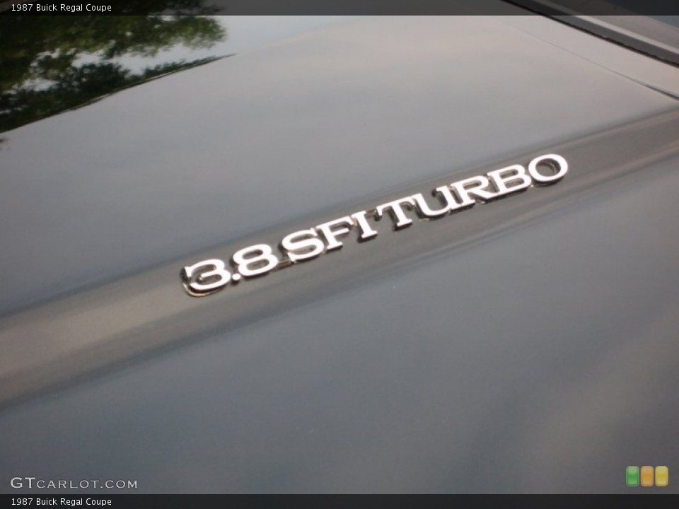 1987 Buick Regal Custom Badge and Logo Photo #66329889