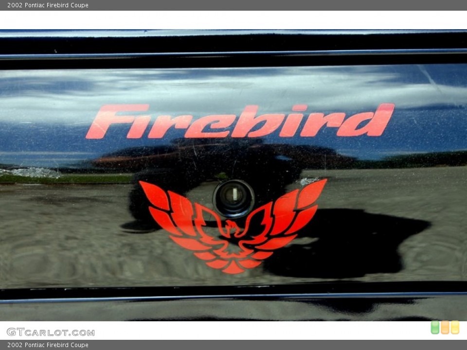 2002 Pontiac Firebird Custom Badge and Logo Photo #66532899