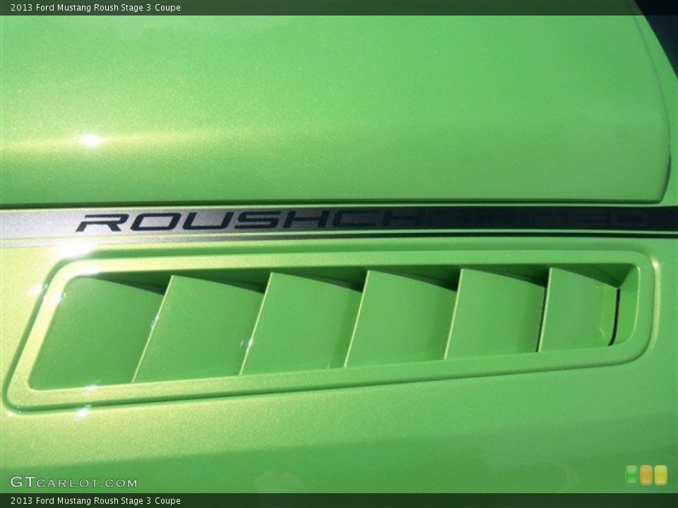 2013 Ford Mustang Custom Badge and Logo Photo #67489468