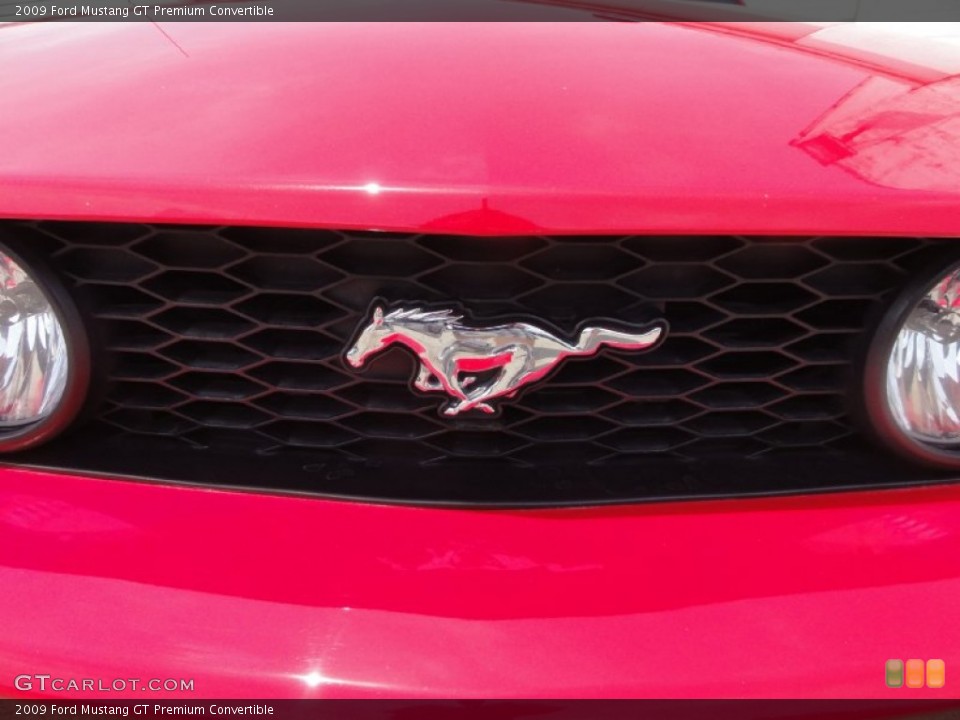 2009 Ford Mustang Custom Badge and Logo Photo #67619610