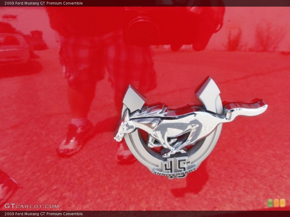 2009 Ford Mustang Custom Badge and Logo Photo #67619628