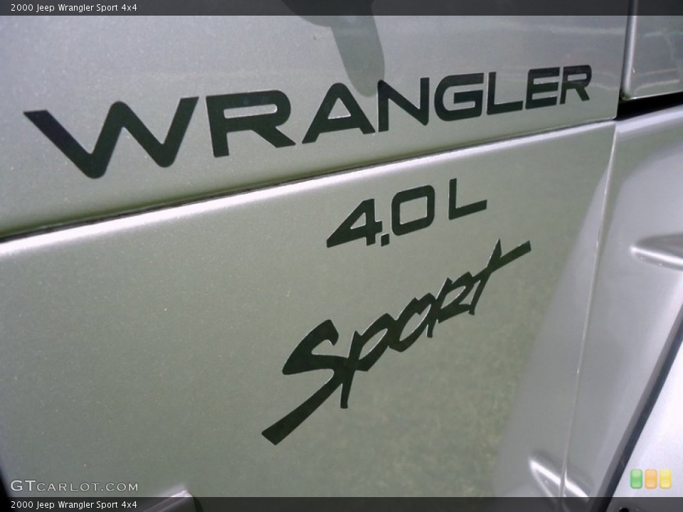 2000 Jeep Wrangler Custom Badge and Logo Photo #68002482
