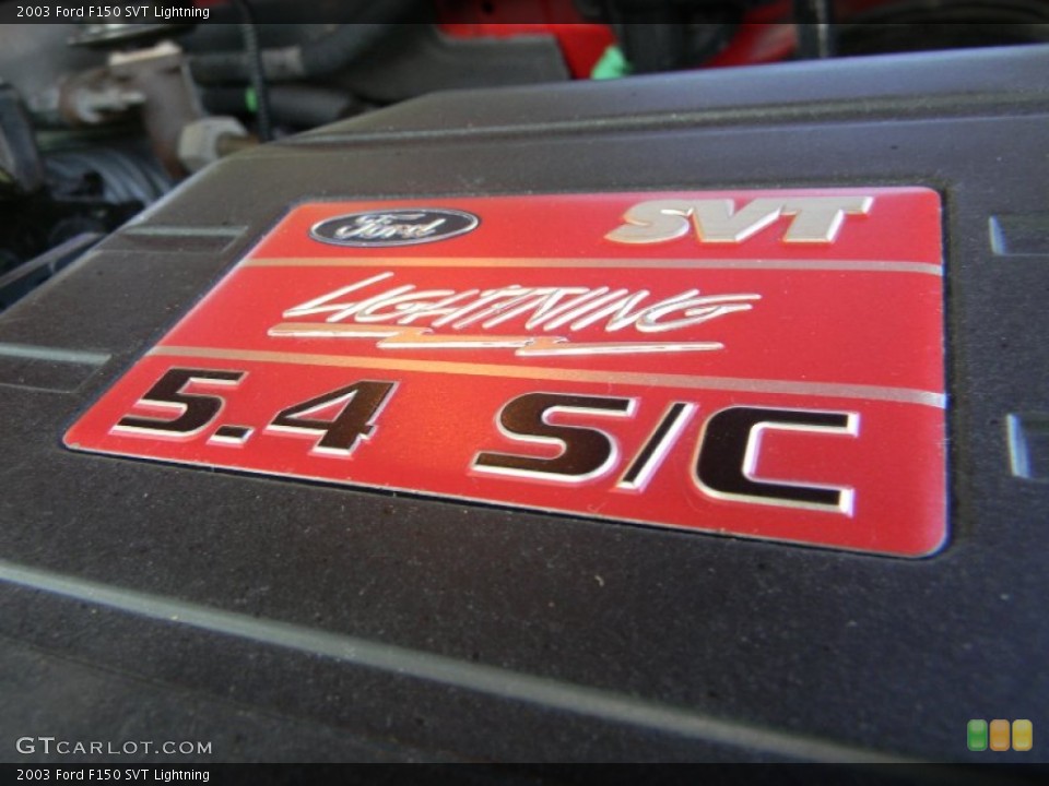 2003 Ford F150 Custom Badge and Logo Photo #69044528