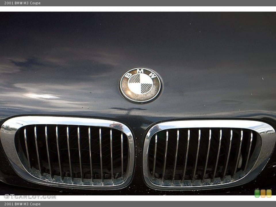 2001 BMW M3 Custom Badge and Logo Photo #69913488