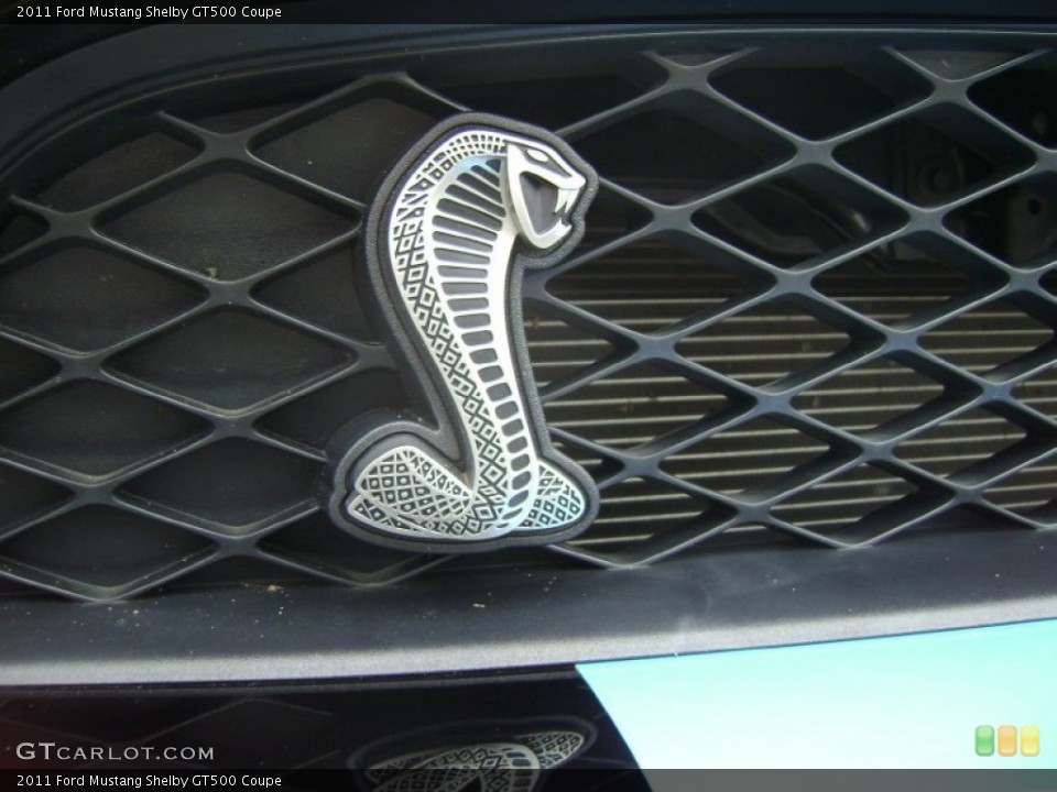 2011 Ford Mustang Custom Badge and Logo Photo #70525736
