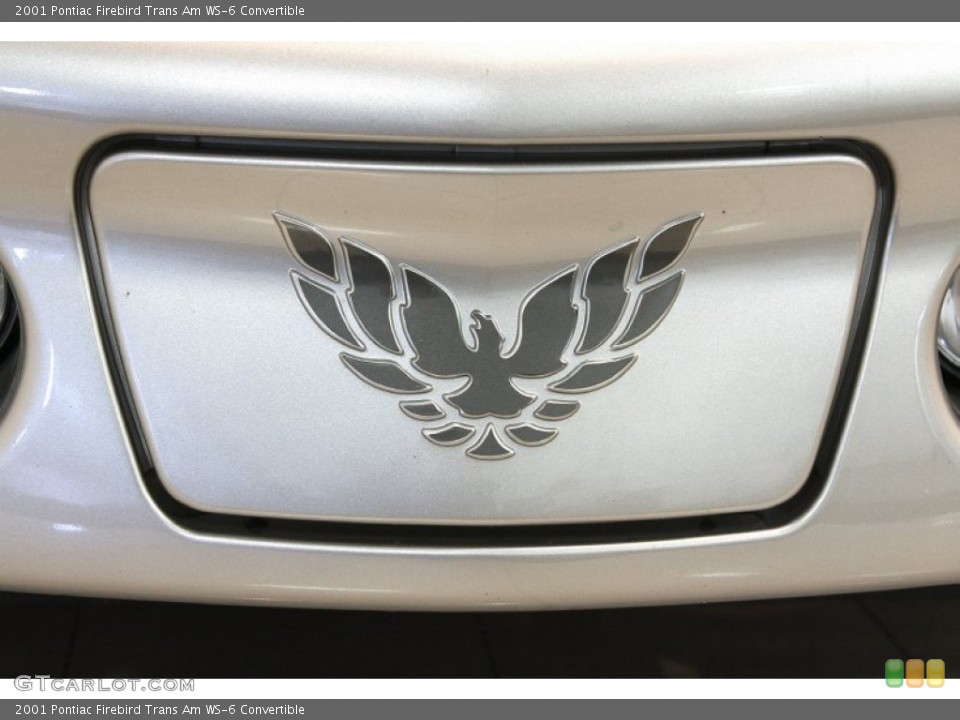 2001 Pontiac Firebird Custom Badge and Logo Photo #71275790
