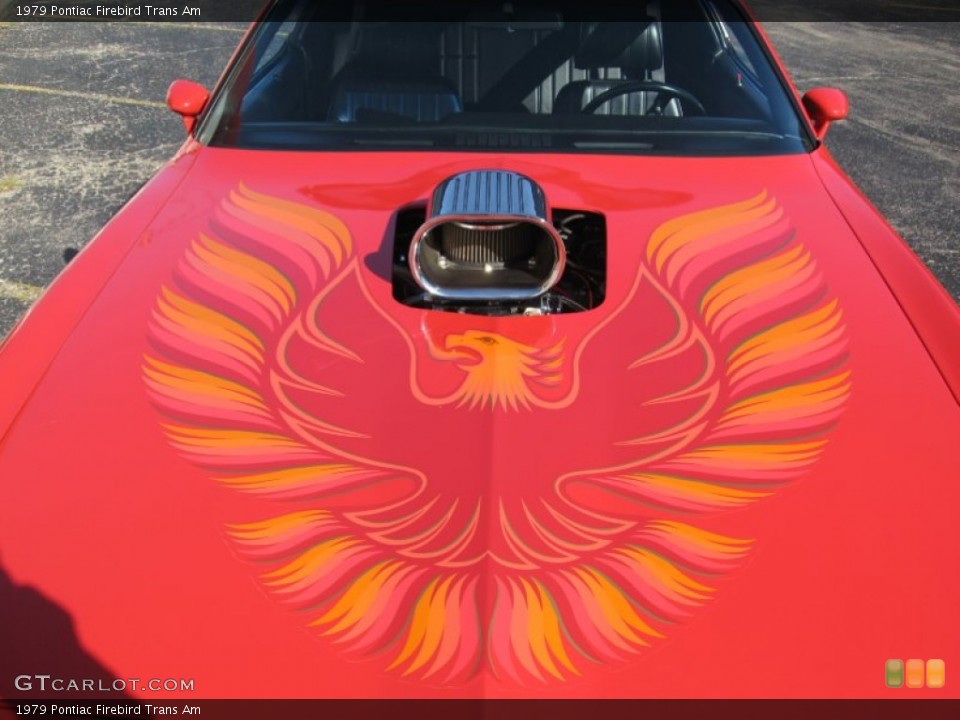 1979 Pontiac Firebird Custom Badge and Logo Photo #71316959