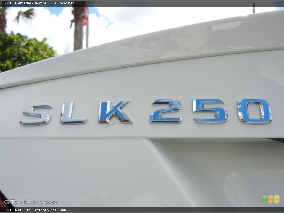 2013 Mercedes-Benz SLK Custom Badge and Logo Photo #71445712