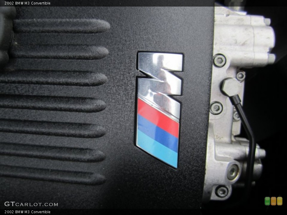 2002 BMW M3 Custom Badge and Logo Photo #71529133