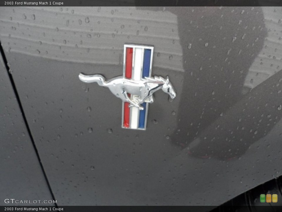 2003 Ford Mustang Custom Badge and Logo Photo #72740540