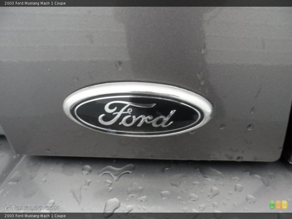 2003 Ford Mustang Custom Badge and Logo Photo #72740657
