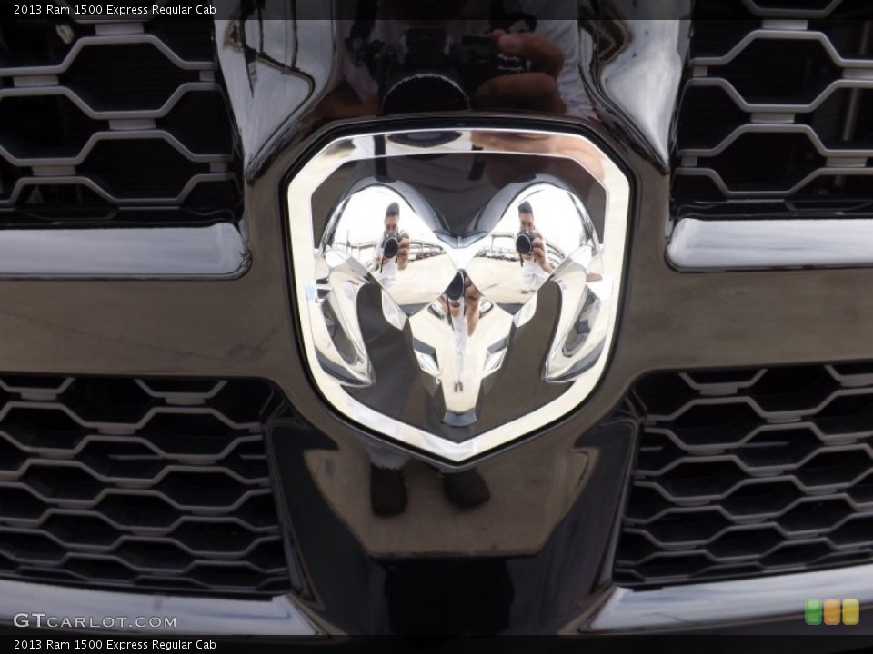 2013 Ram 1500 Custom Badge and Logo Photo #73741612