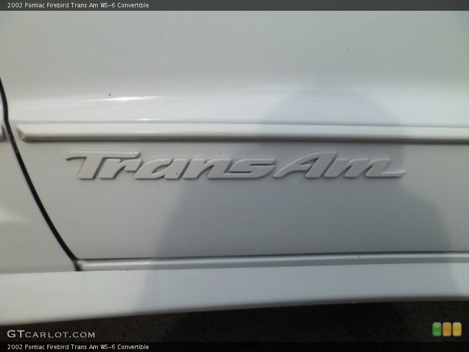 2002 Pontiac Firebird Custom Badge and Logo Photo #74271829