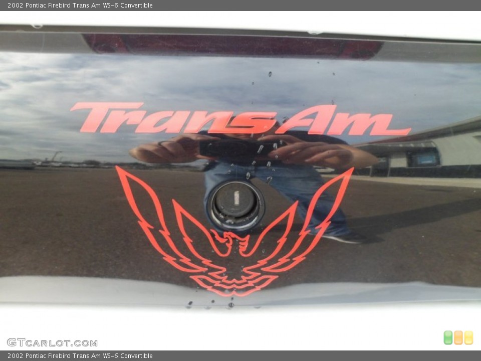 2002 Pontiac Firebird Custom Badge and Logo Photo #74271872