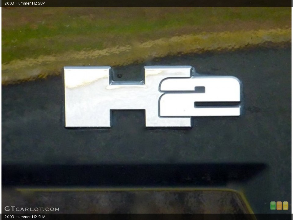 2003 Hummer H2 Custom Badge and Logo Photo #74953651