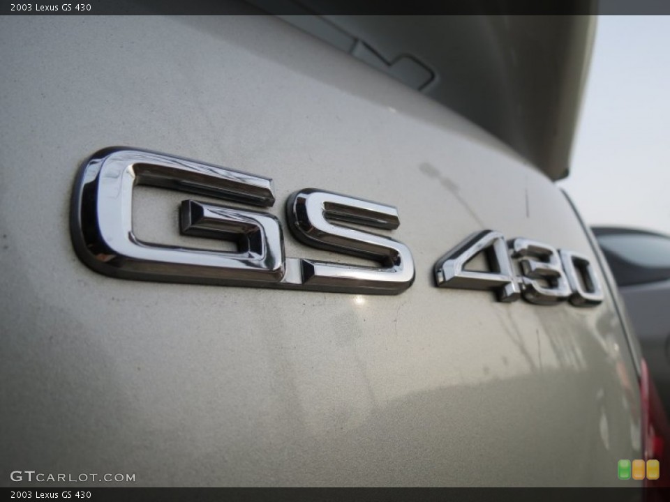 2003 Lexus GS Custom Badge and Logo Photo #75677557