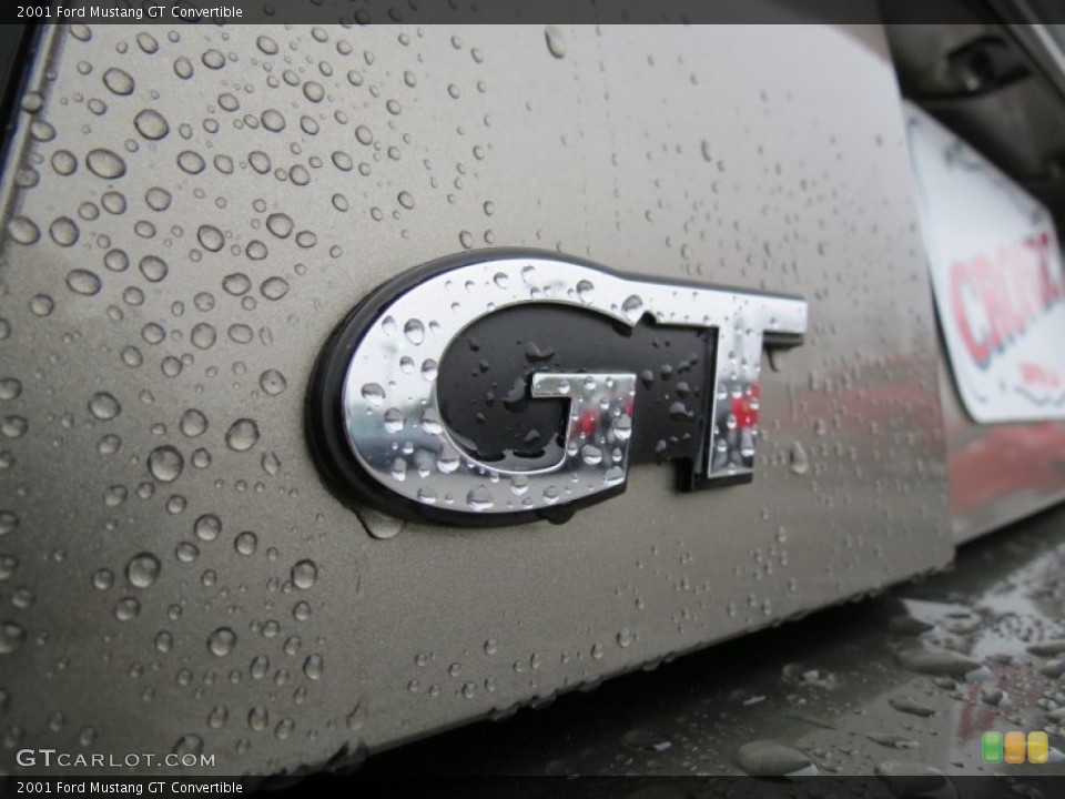 2001 Ford Mustang Custom Badge and Logo Photo #75949051