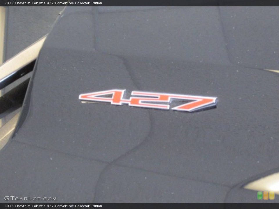 2013 Chevrolet Corvette Custom Badge and Logo Photo #76258328