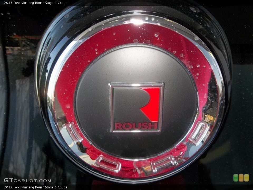 2013 Ford Mustang Custom Badge and Logo Photo #77049092