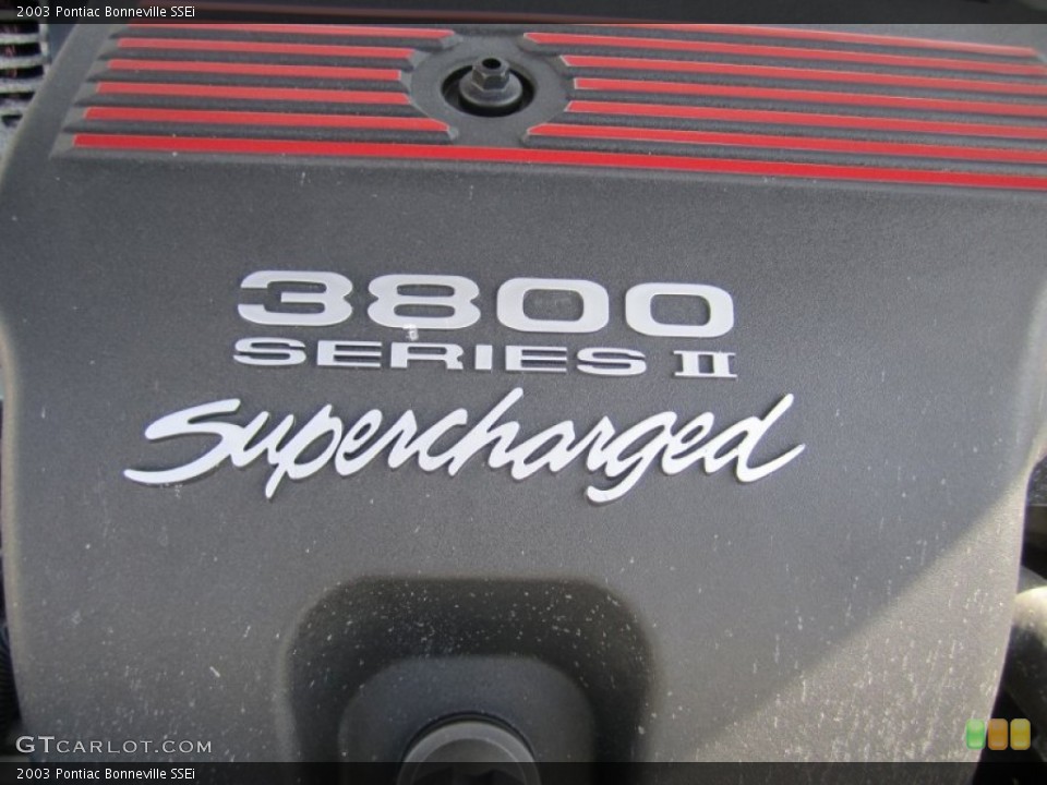 2003 Pontiac Bonneville Custom Badge and Logo Photo #77364315